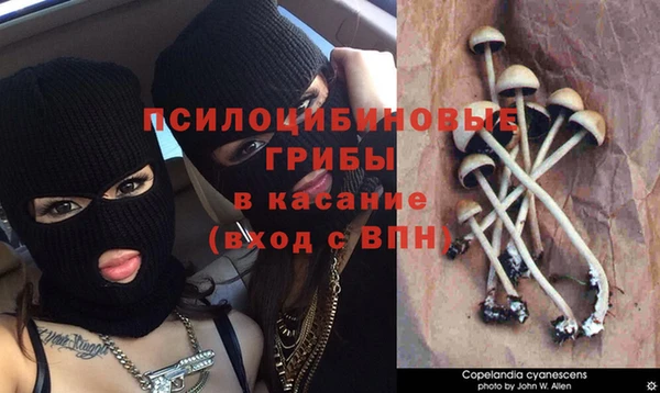 MESCALINE Новодвинск