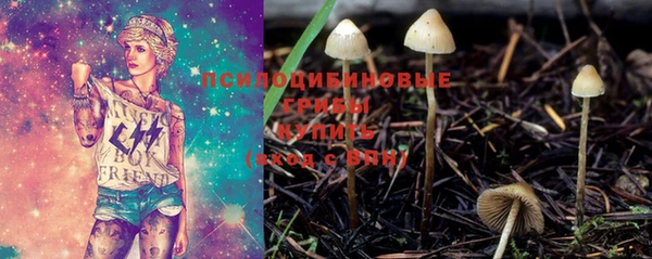 дмт Новокубанск