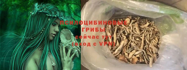 дурь Бикин