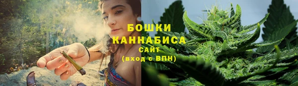 дмт Новокубанск